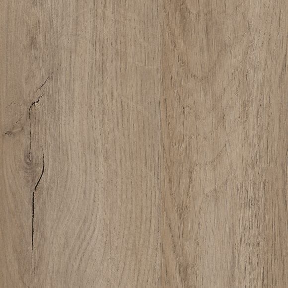 Lorenzo Oak R20256